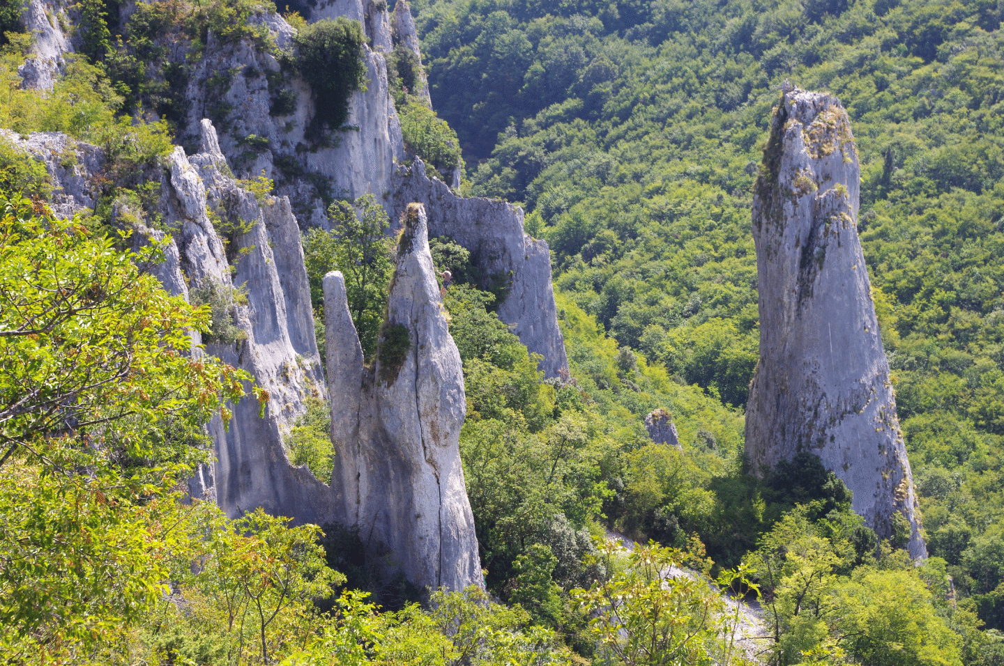 Veliki Toran in der Franska Draga